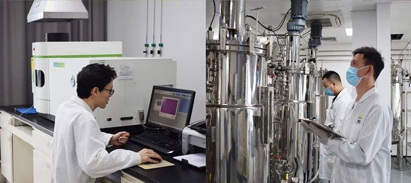 打造新朝陽(yáng)生物科技“五張名片”，服務(wù)農(nóng)業(yè)高質(zhì)量發(fā)展！